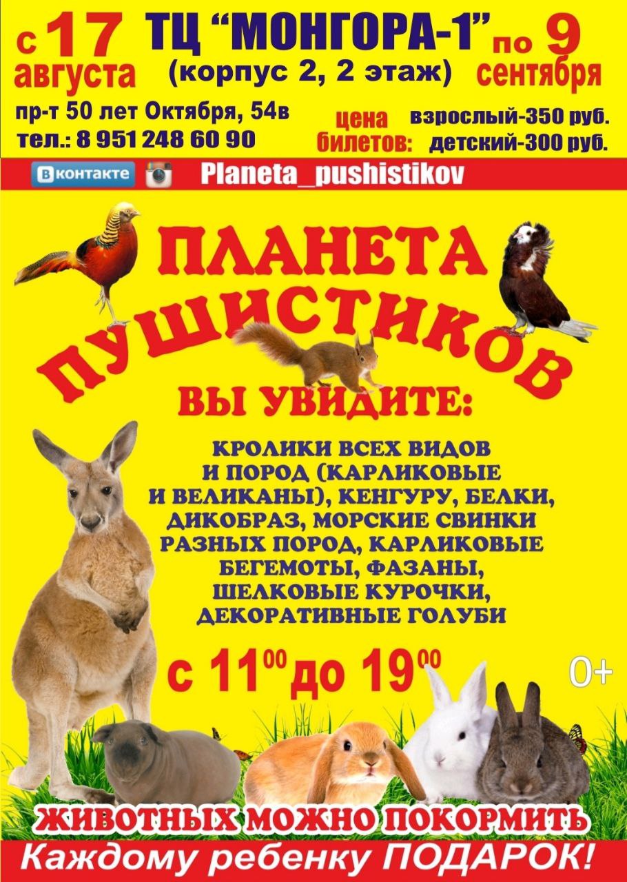 ТРК Монгора - выставка Планета пушистиков