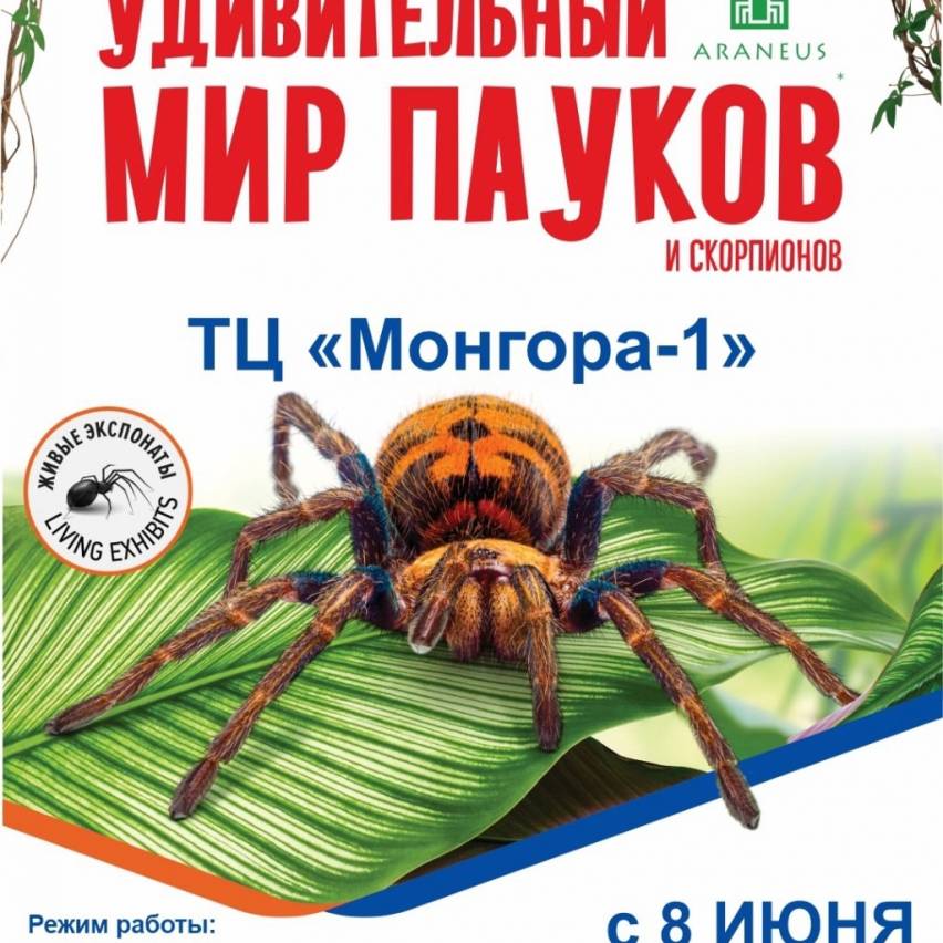 Вы боитесь пауков🕷? Мы избавим Вас от арахнофобии!